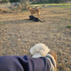 Meet your Posher, Kristine